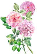 ioi0 (576) (129x185, 48Kb)