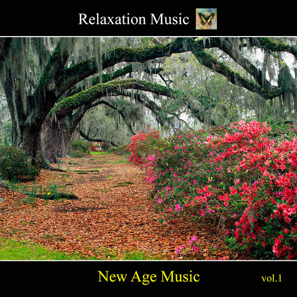 Various Artist - New Age Music 1 (2013)